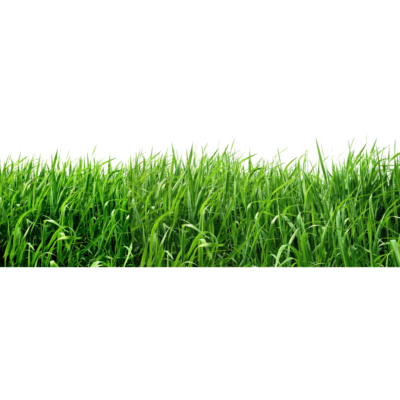 Arco Greens